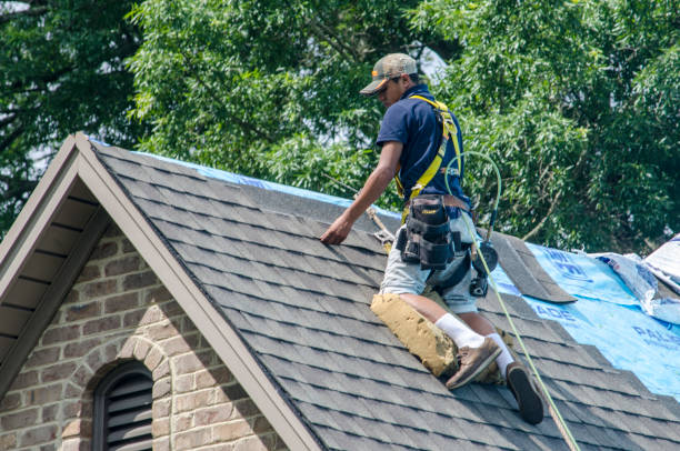 Best Roof Repair Services  in Eugene, OR